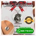 Collar Fotograbado Corazón para Mascota